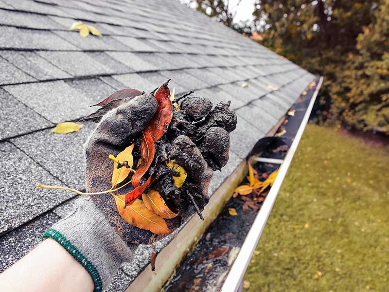 gutter cleaning services boston