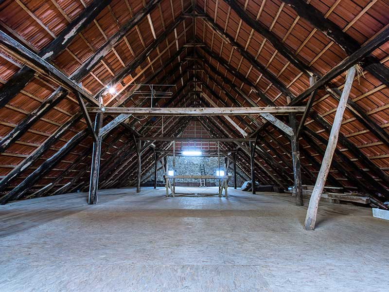 professional attic cleaning services