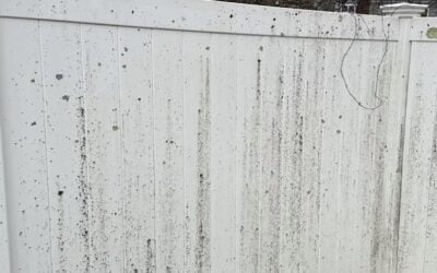 Get your backyard ready for spring. Our SoftWash method safely restored this fence back to perfect!